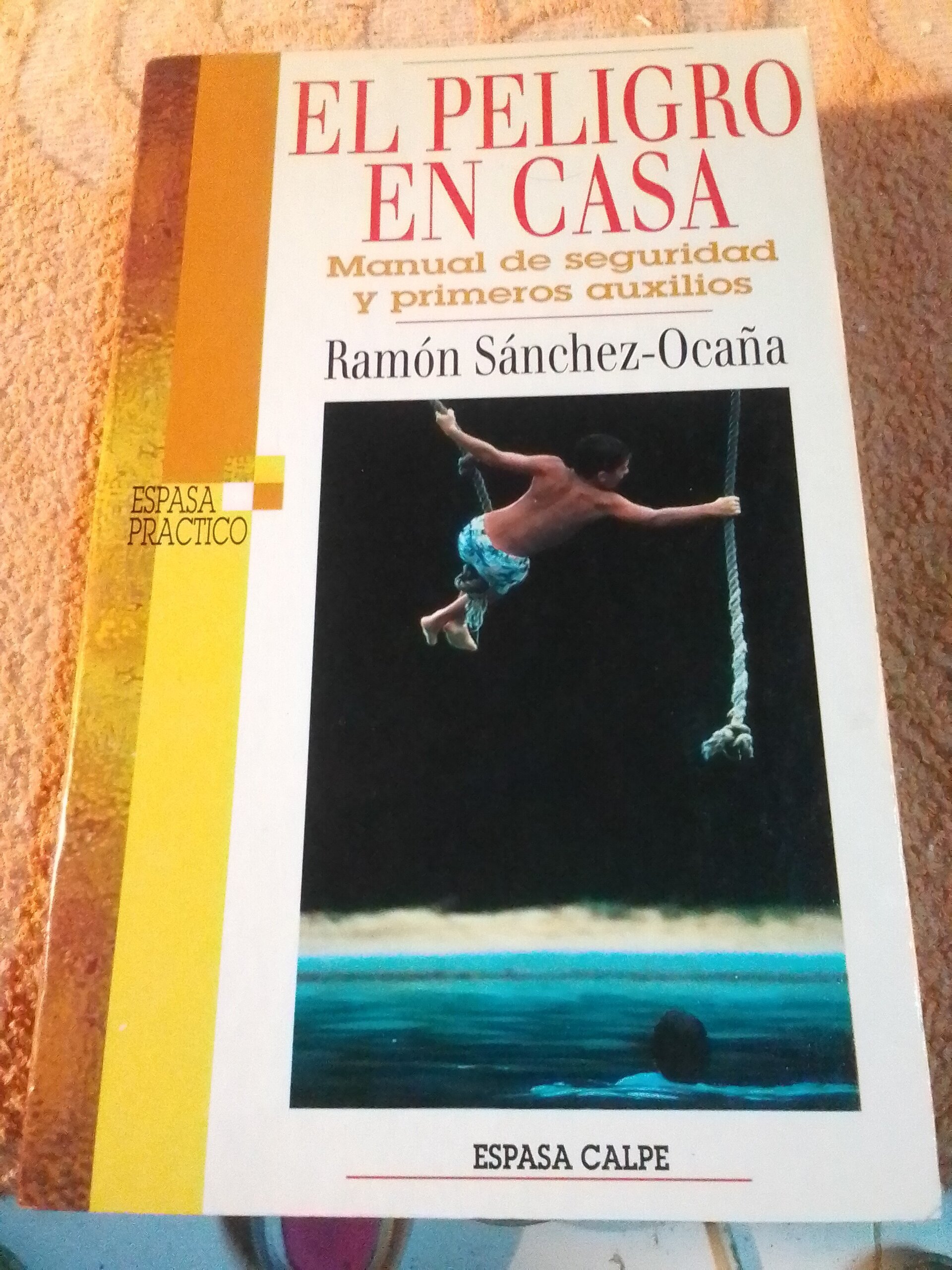El peligro en casa (libro) - 1