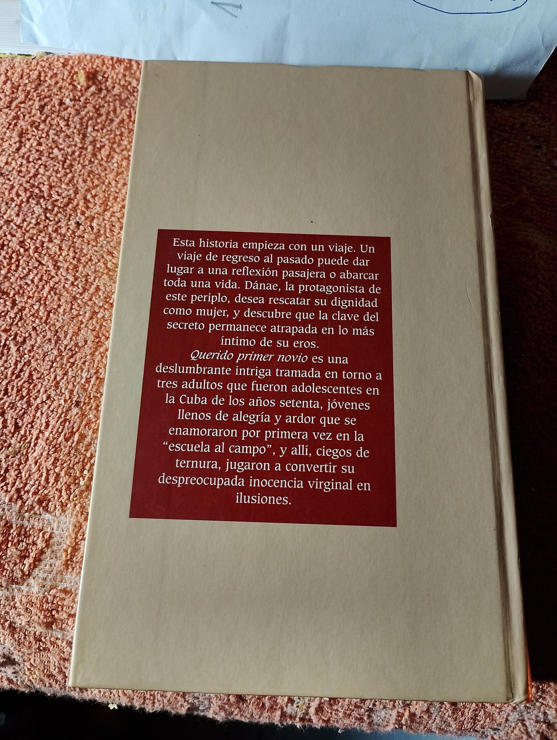 Querido Primer Novio - 2