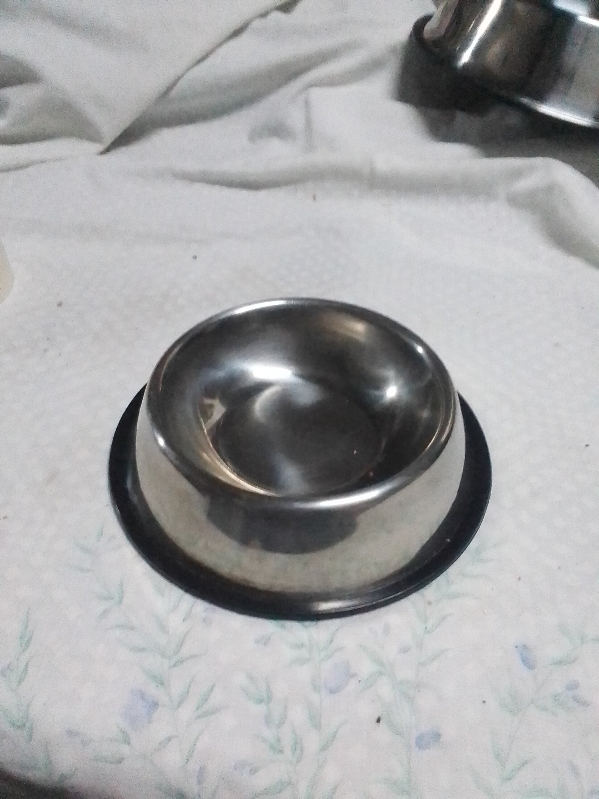 Comedero bebedero - 3