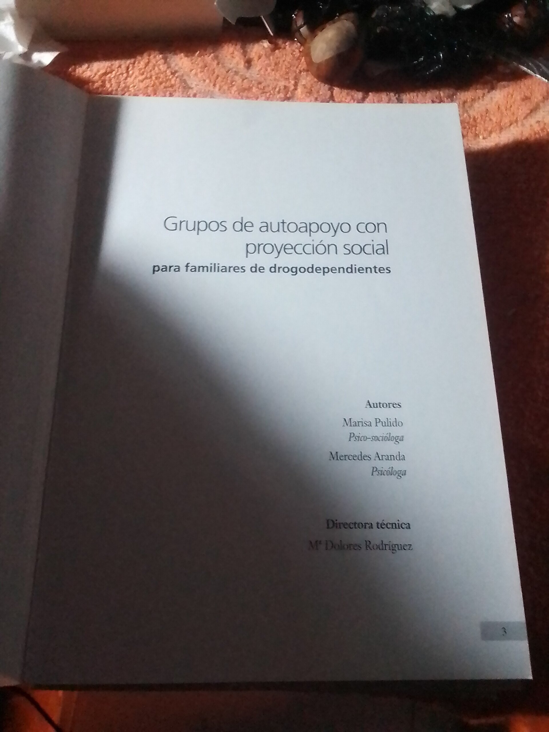 Grupos de autoapoyo con proyección social para familiares de drogodependientes - 2