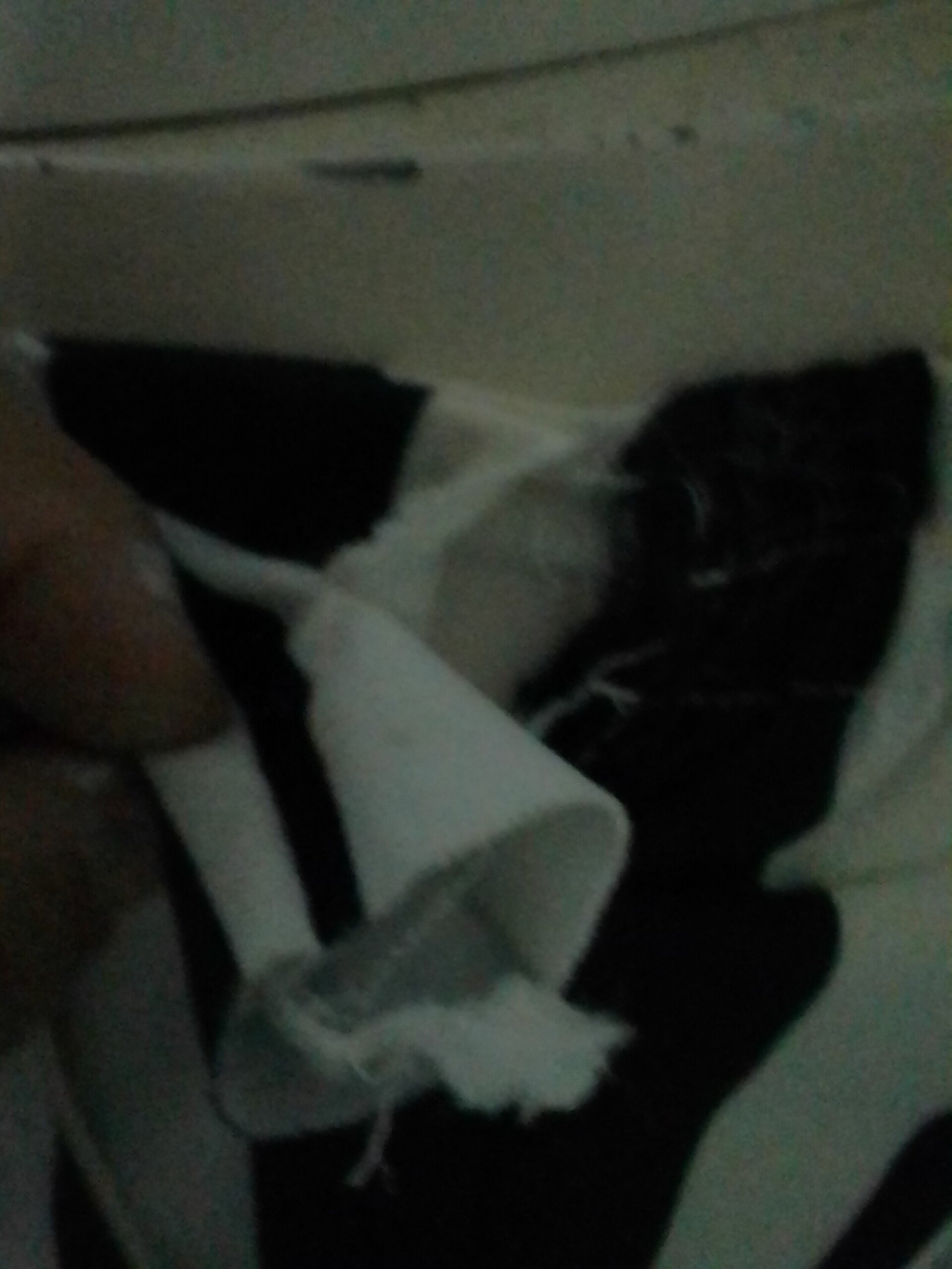 Traje chaqueta y pantalón mujer - 6