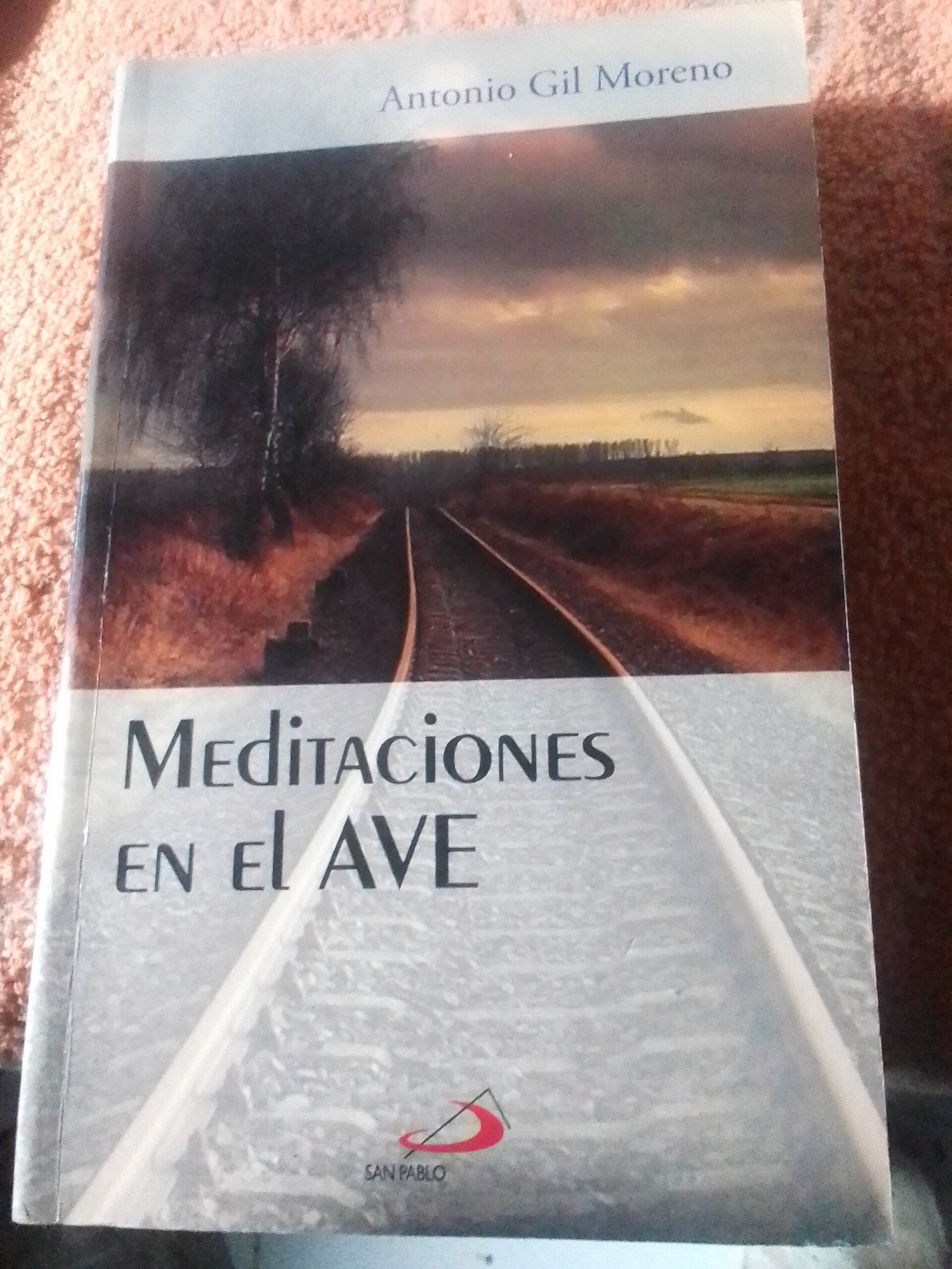Meditaciones en el AVE - 1