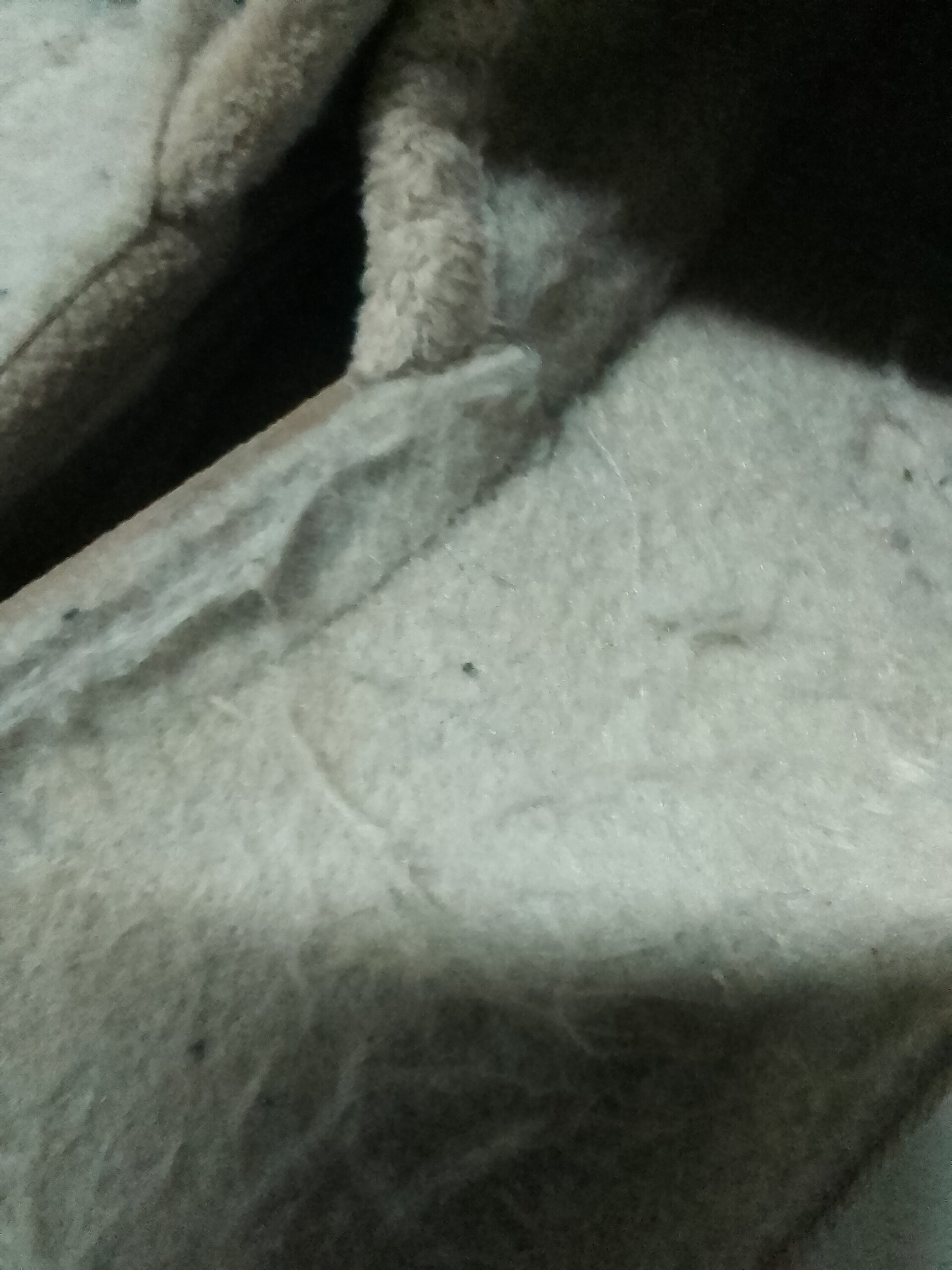 Zapatillas domésticas para mujer de lona - 6